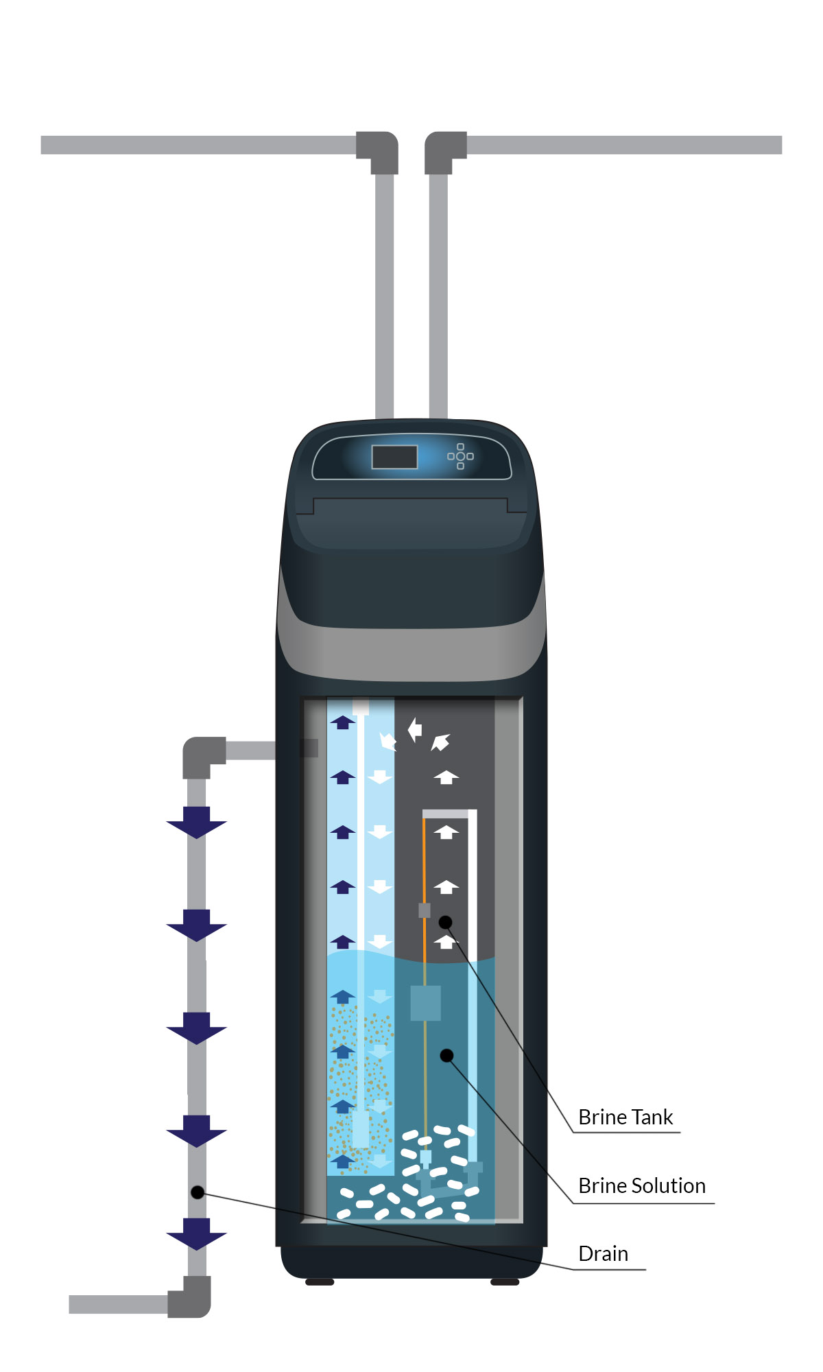 Infographic explaining how regeneration works
